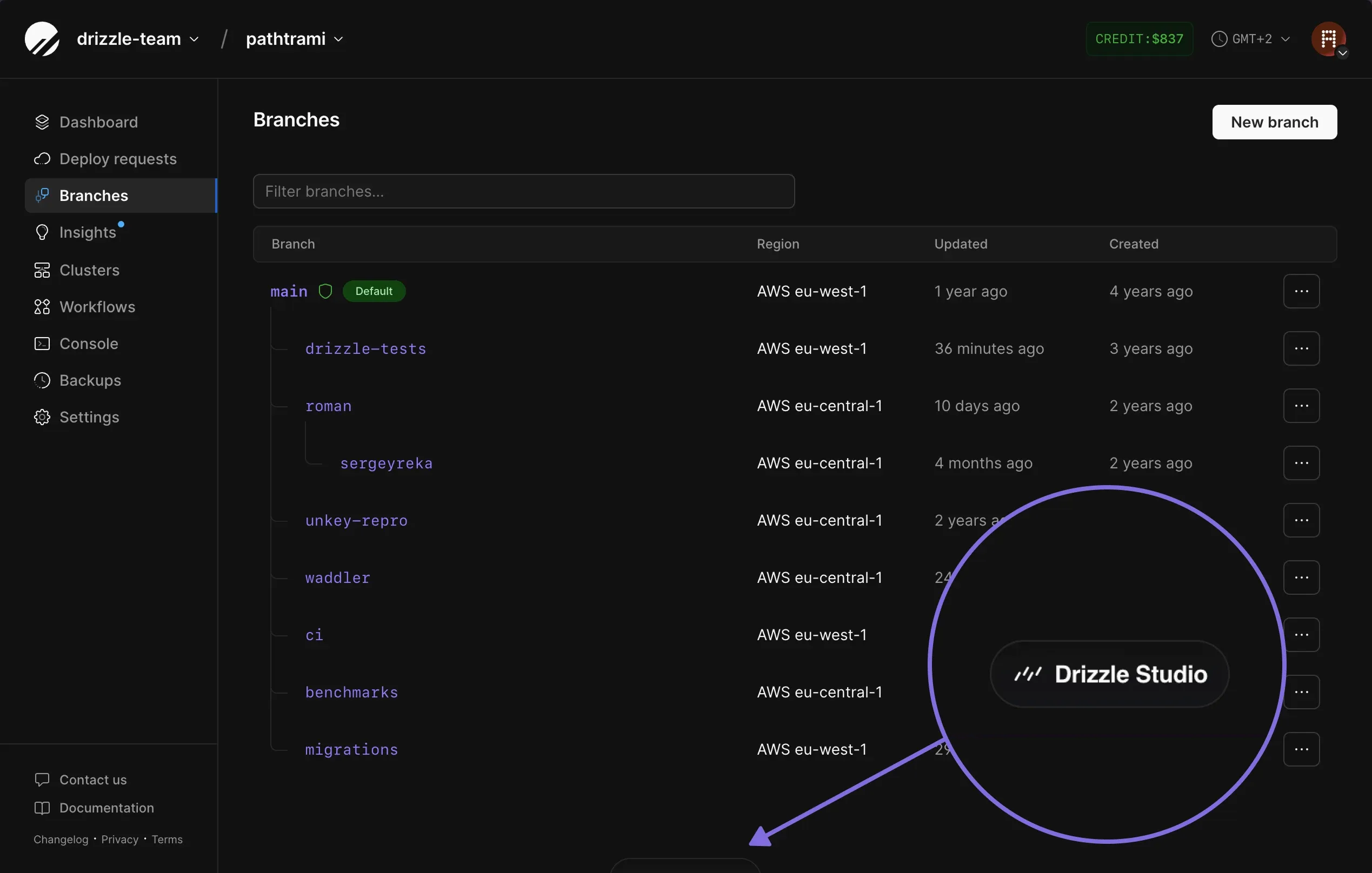 Drizzle Studio button injected into the PlanetScale branches page